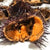 Sea Urchin pate spread-Pate de Oricios by Agromar